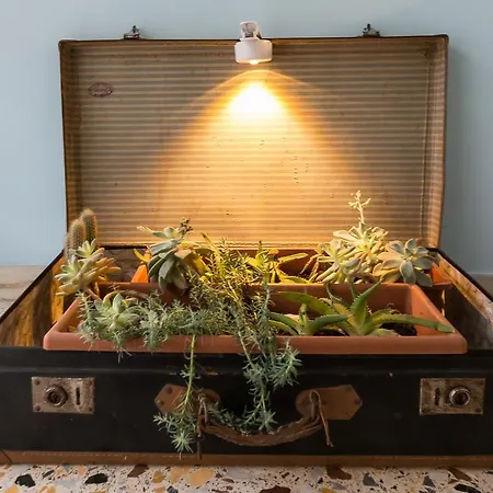 Lägenhet Floridea Casa Vacanze *